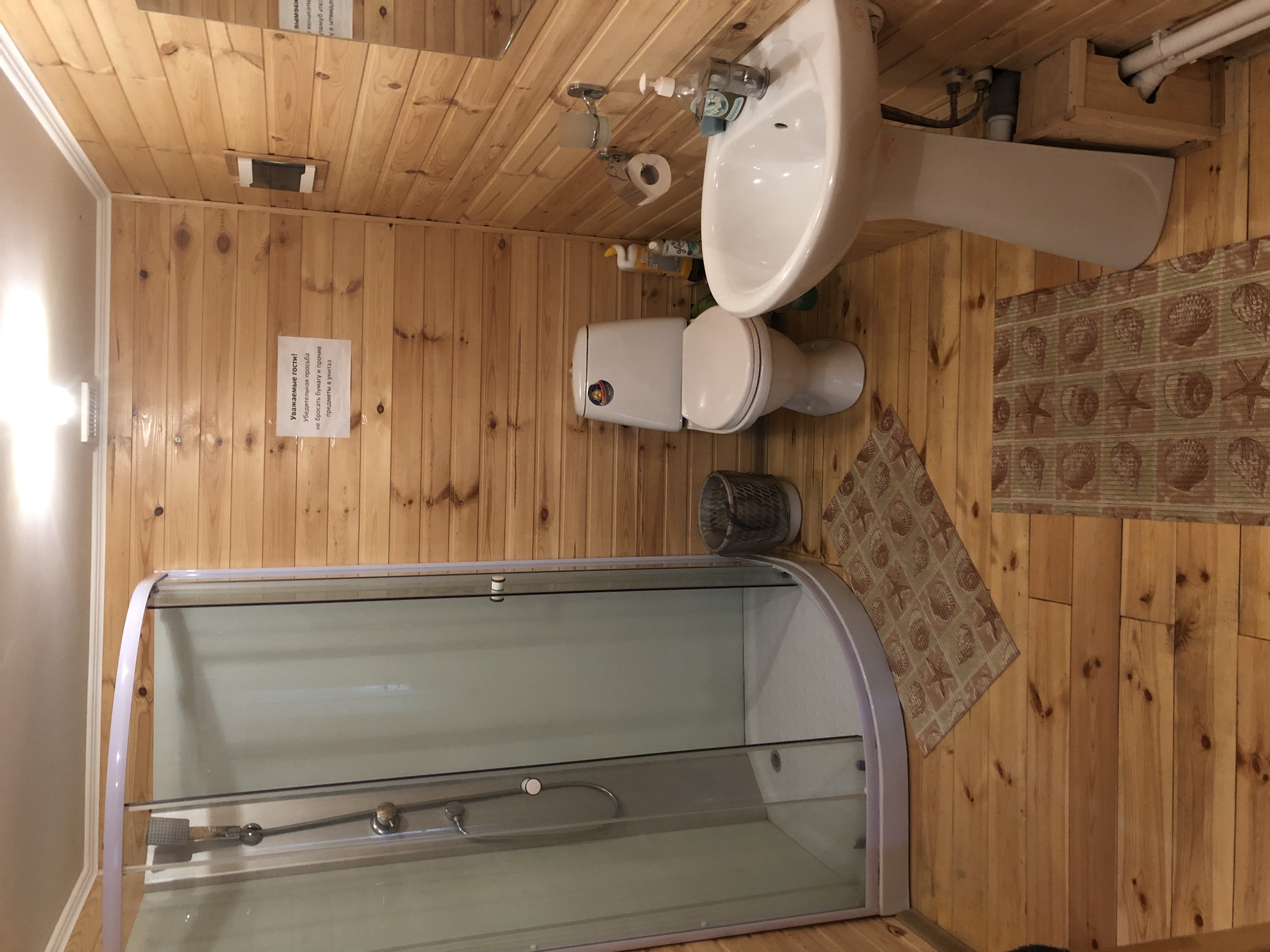 Фото Белая сова