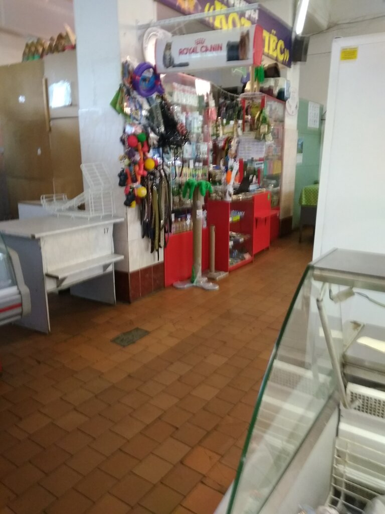 Pet shop Kotopes, Lomonosov, photo