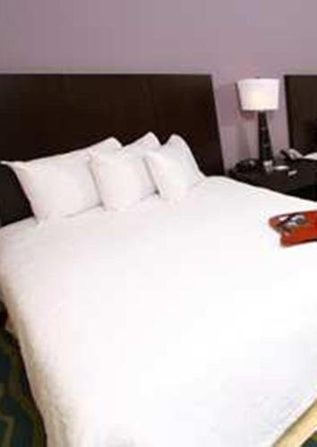 Фото Hampton Inn Daytona Beach/Beachfront