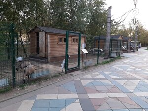 Mini-zoo (Moscow, Nevsky Park), zoo