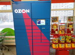 Ozon (Vostochniy Microdistrict, ulitsa Motorostroiteley, 4А), parcel automat