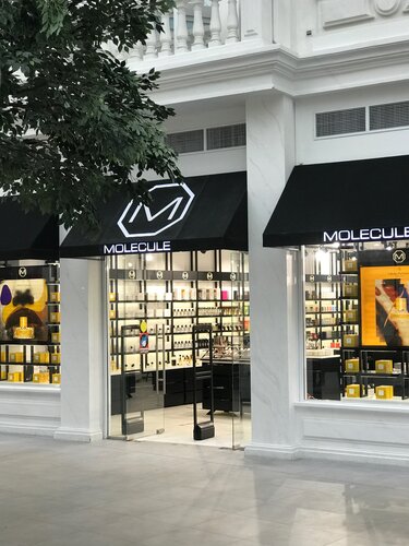 Perfume and cosmetics shop Molecule, Moscow, photo