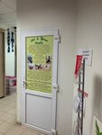 Fit&yoga Studio (ulitsa Ostrovskogo, 38), fitness club