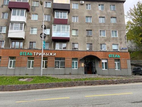 Внешний вид отеля Три Лыжи в Петропавловск-Камчатском, фото 4