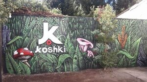 Hostel Kosh