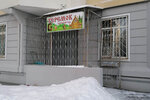 Теремок (Olgino Microdistrict, Granichnaya ulitsa, 9к1), kindergarten, nursery