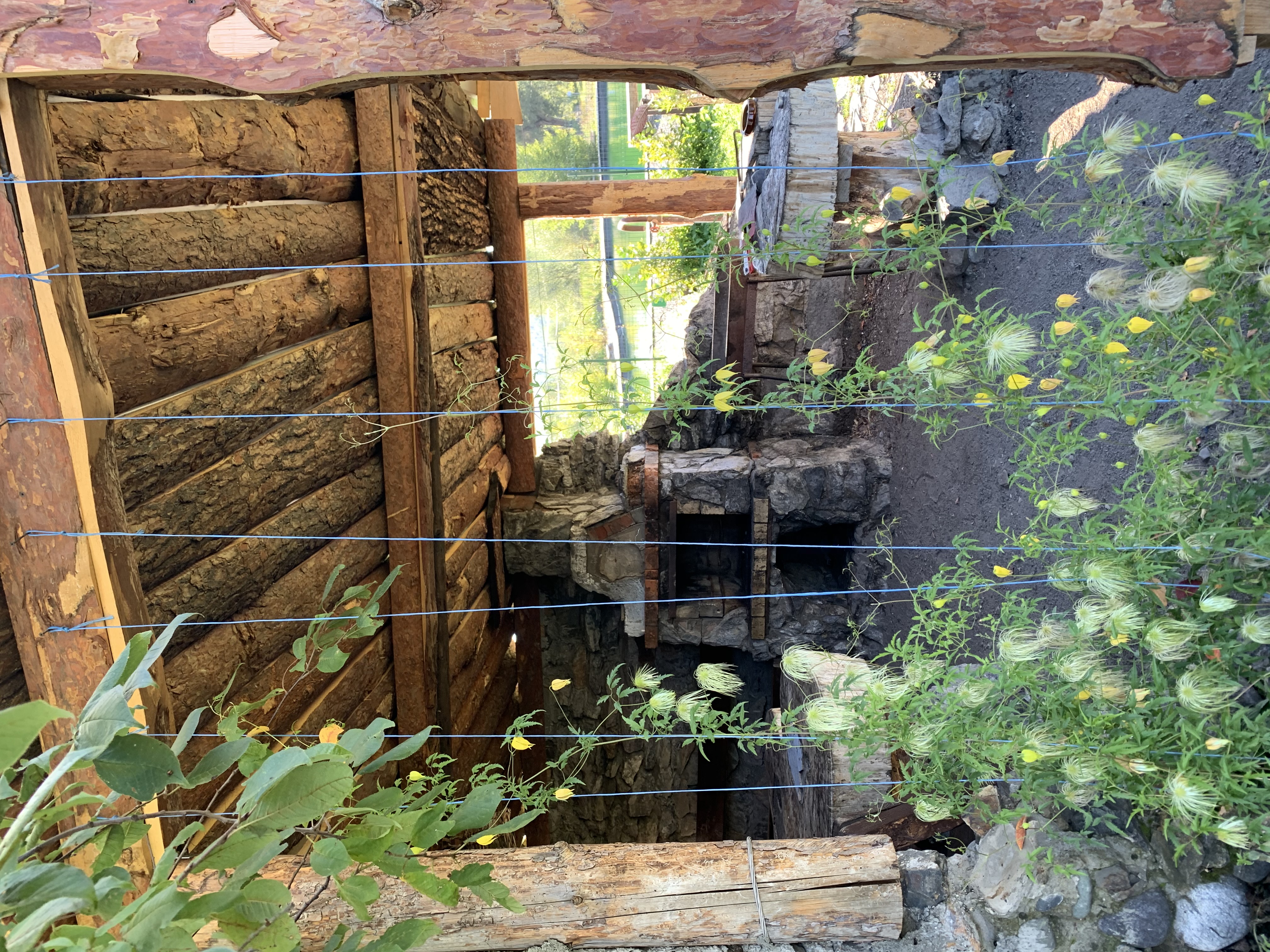 Фото На Радужном берегу