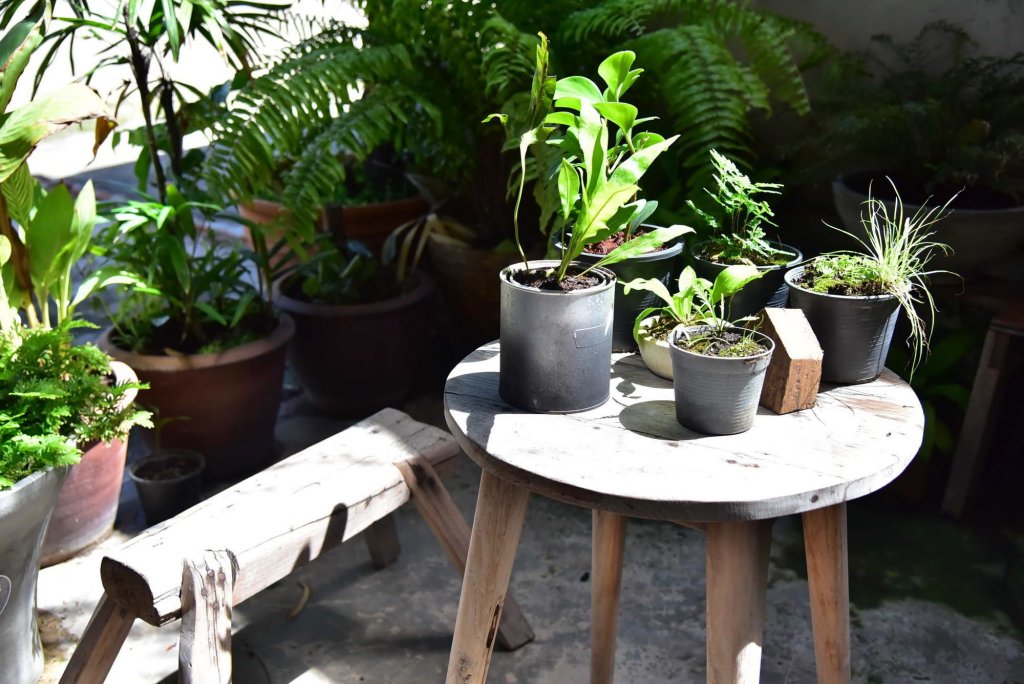 Фото Hosts Hua Hin