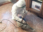 TechnoDez (South Industrial Hub, 13Вс7), disinfection, disinsection, deratization