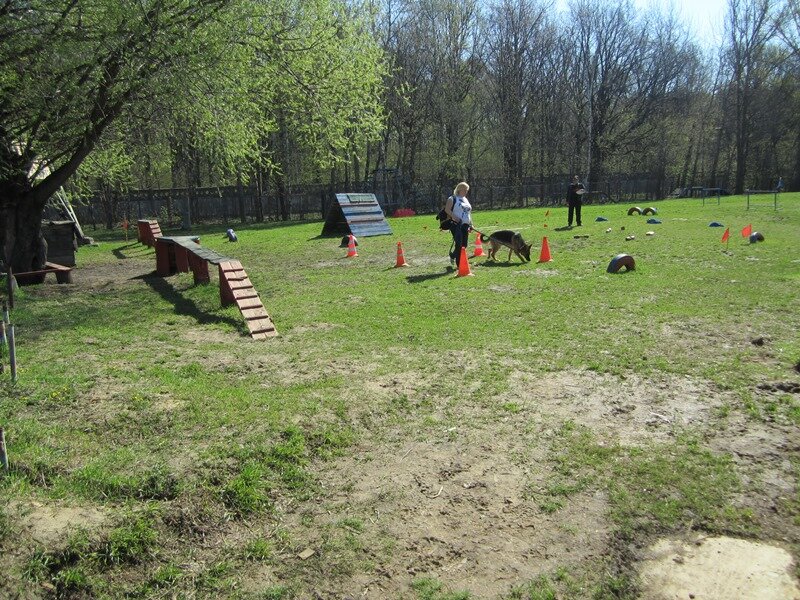 حديقة كلاب Sportivno-dressirovochnaya ploshchadka Krasny Baltiyets ، موسكو، صورة