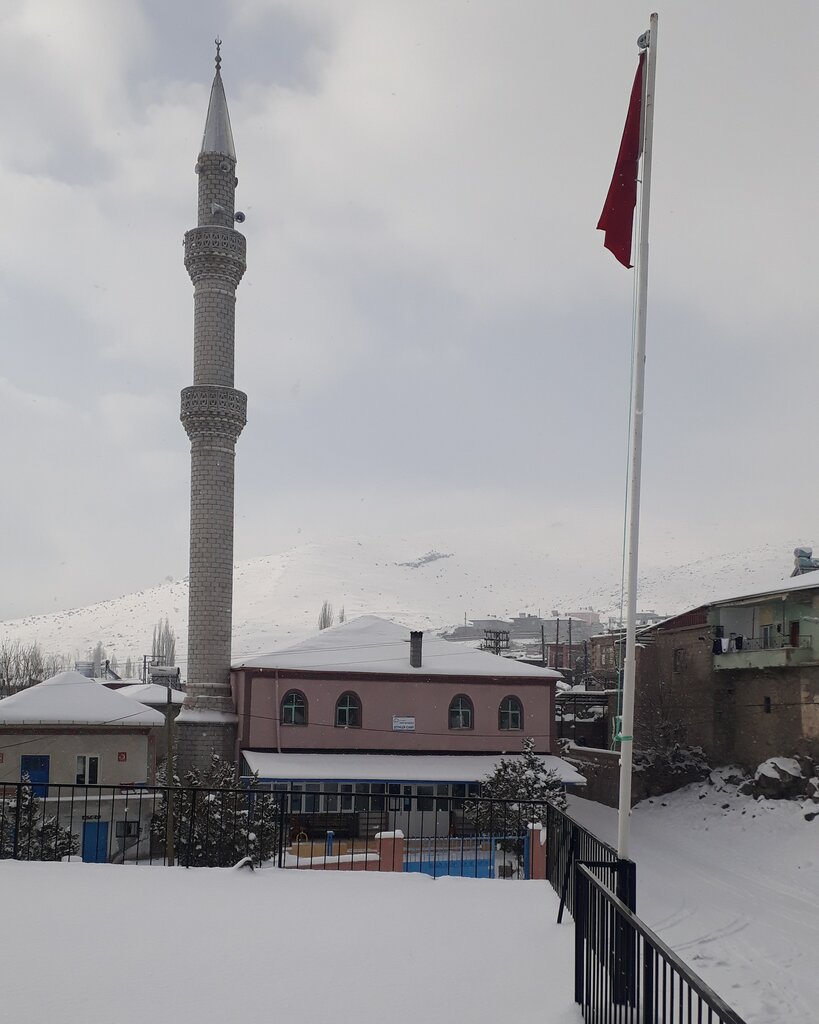 Mukhtars Sheyhler Village Headmanship, Ciftlik, photo