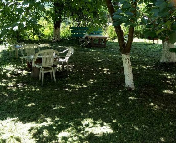 فندق Svetlana Mini-Hotel Lviv ، لفيف، صورة