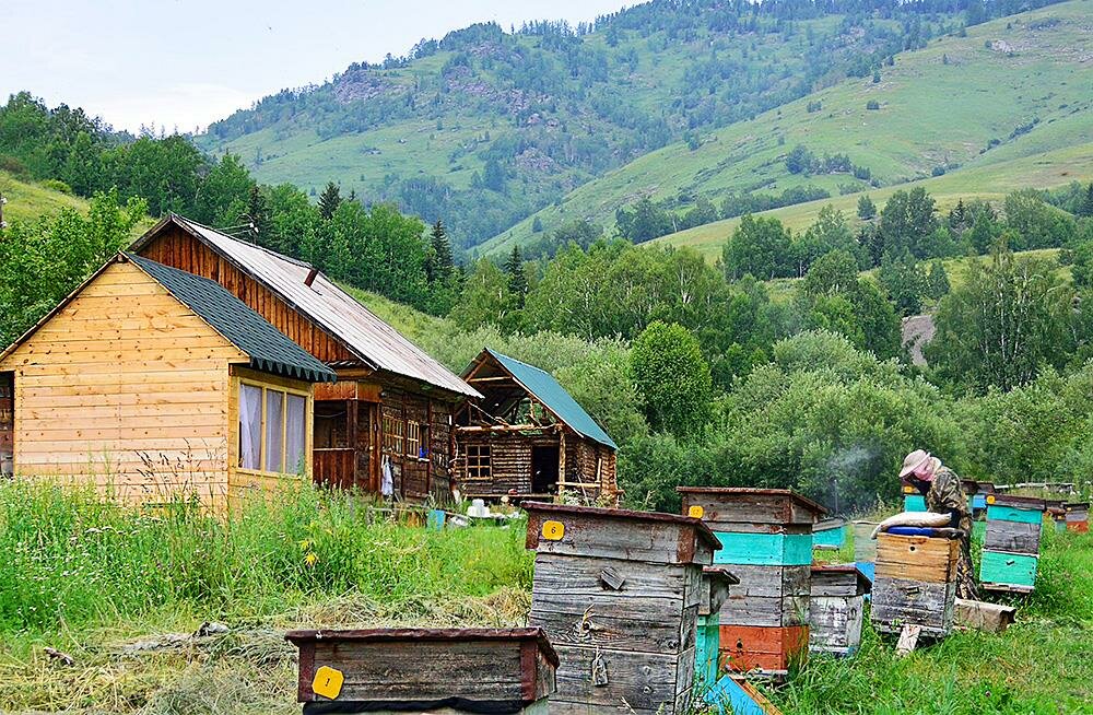 Гостевой дом Гостевой дом «Заимка Климово», Шығыс қазақстан облысы, фото