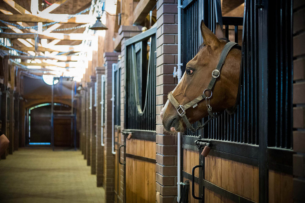 Фото Экоранчо