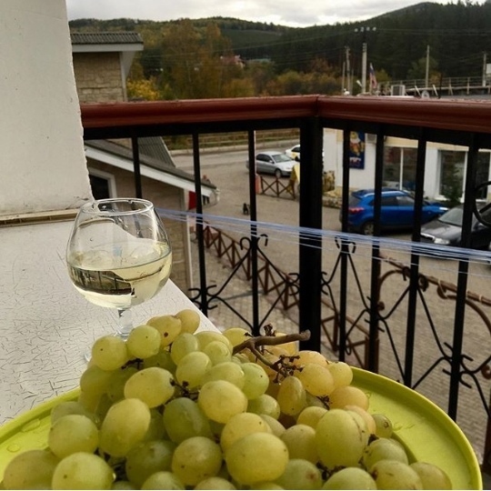 Фото Эдельвейс