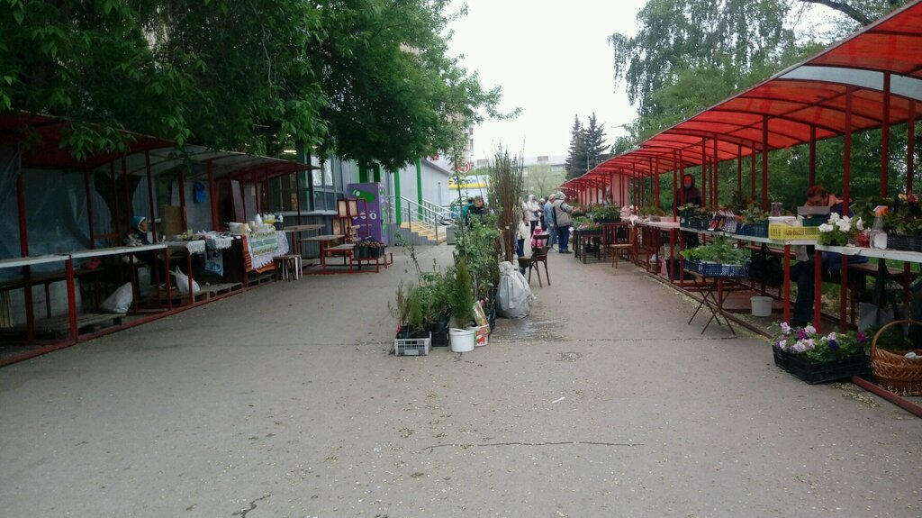 Gıda pazarı Farmers' market, Magnitogorsk, foto