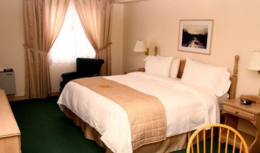 Фото Quality Inn & Suites Bathurst