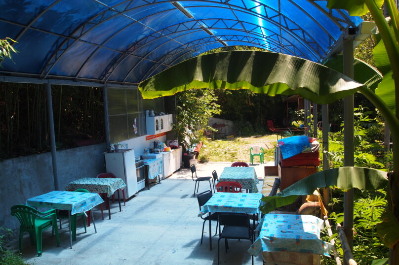 Фото Бамбучок