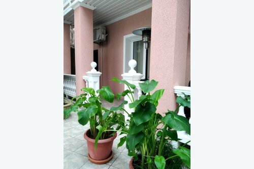 Гостевой дом Парк-Отель Ялта в Ялте