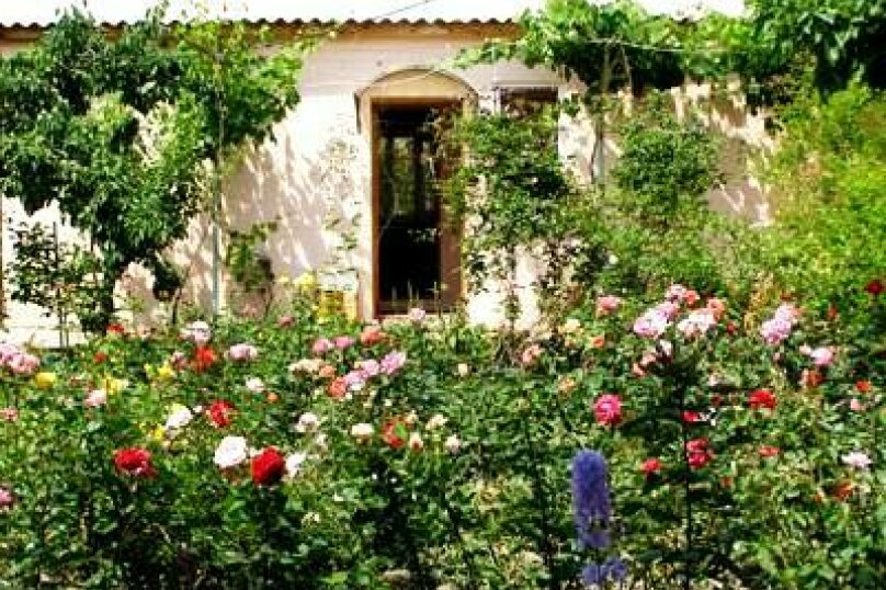 Фото Долина солнца