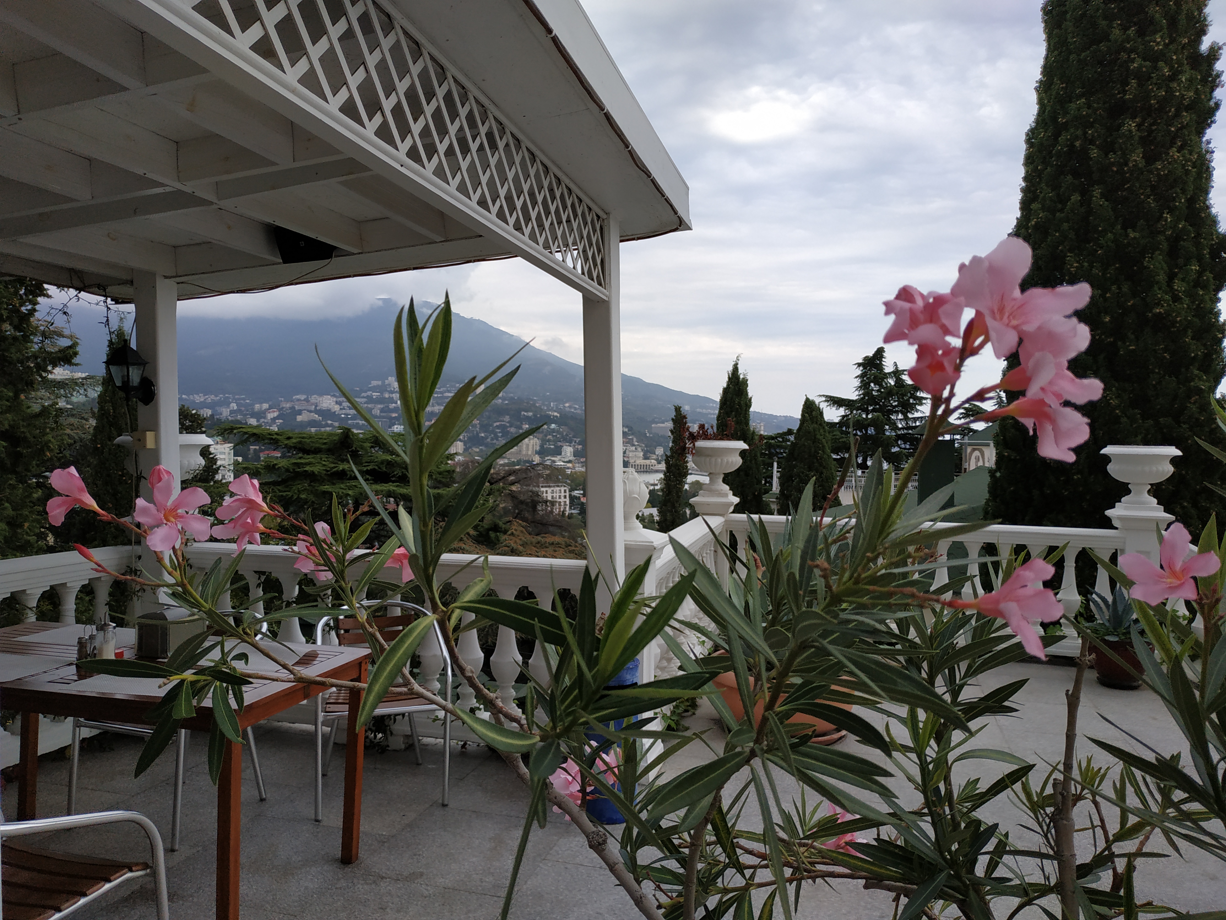 Фото Чайная горка