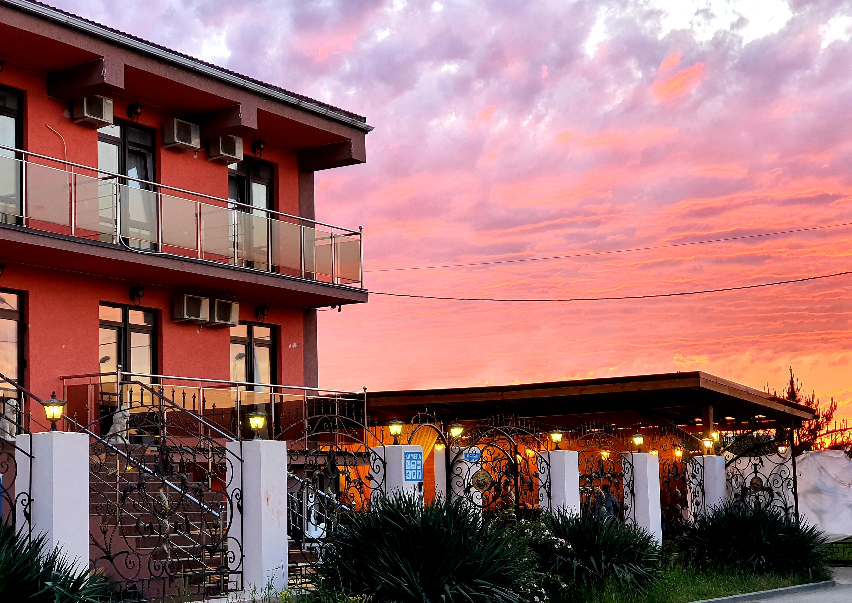 Фото Камела