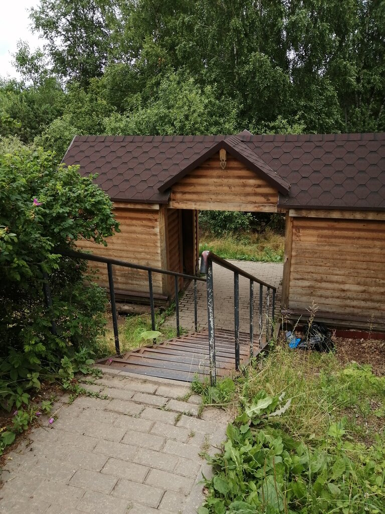 Spring, stream Освящённый родник, Tula Oblast, photo