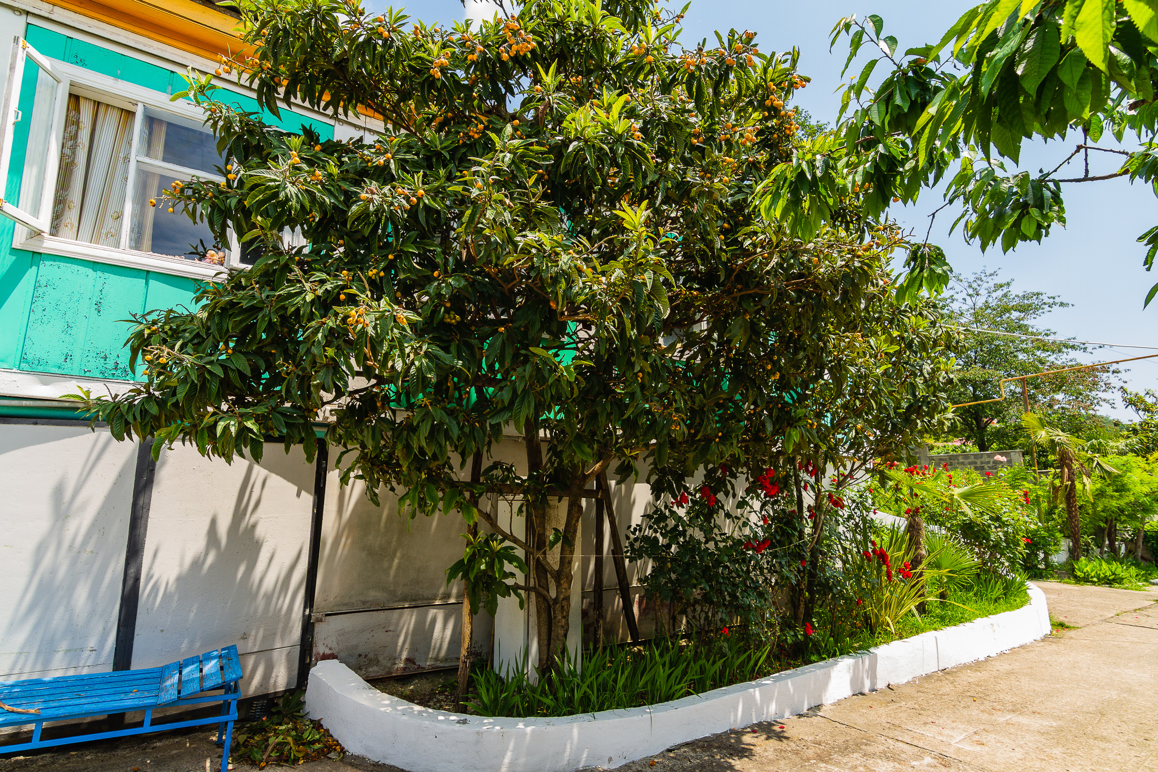 Фото Горизонт