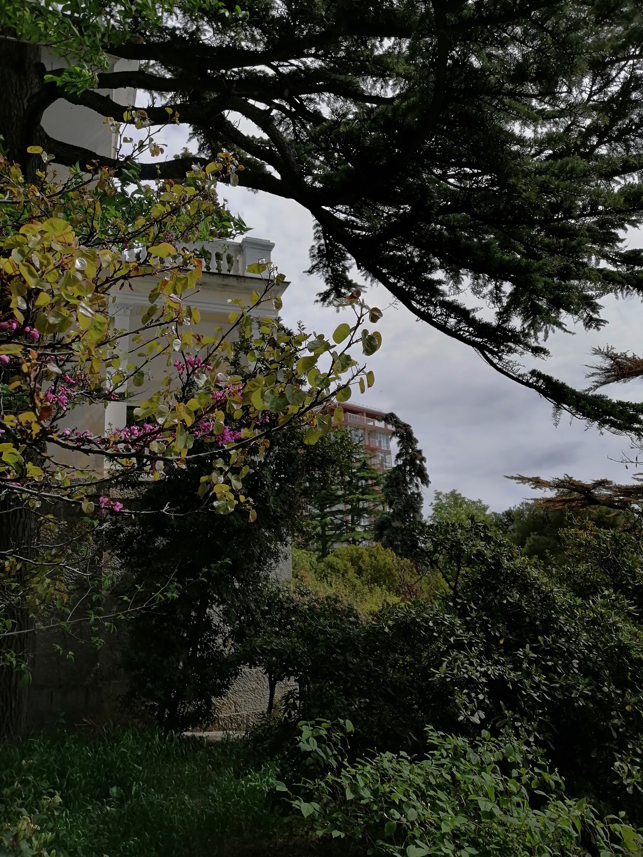 Фото Лиго Морская