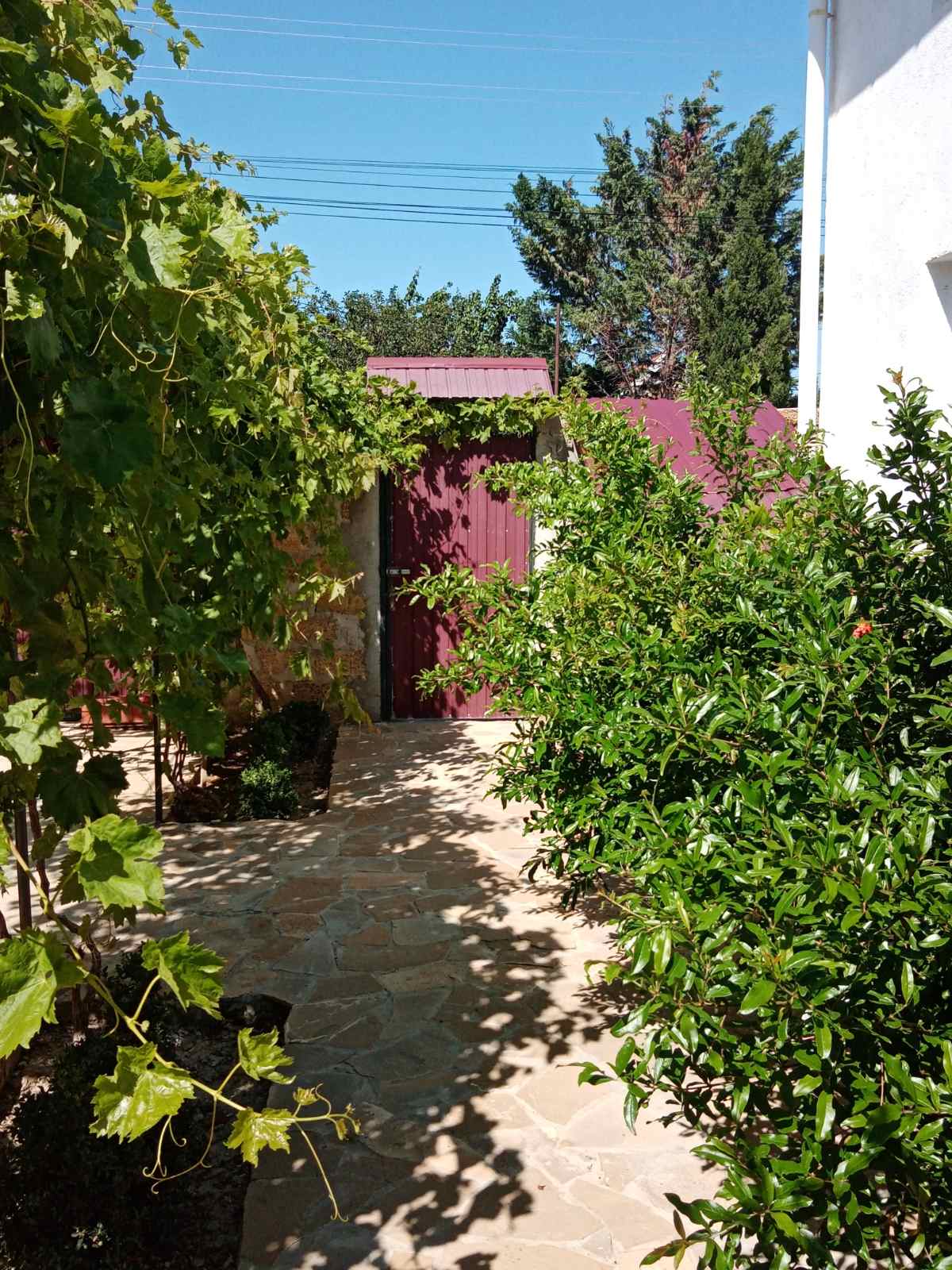 Фото Лето на Заречной