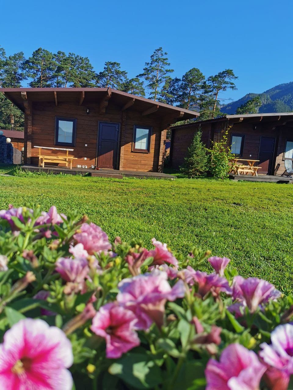 Фото Медведь и Ягодка