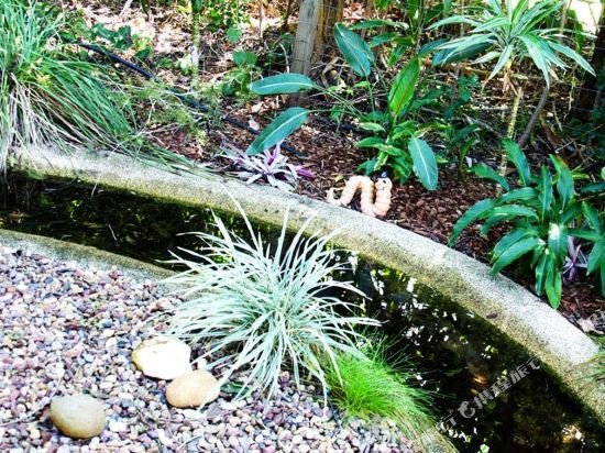 Фото Barooga On Pier