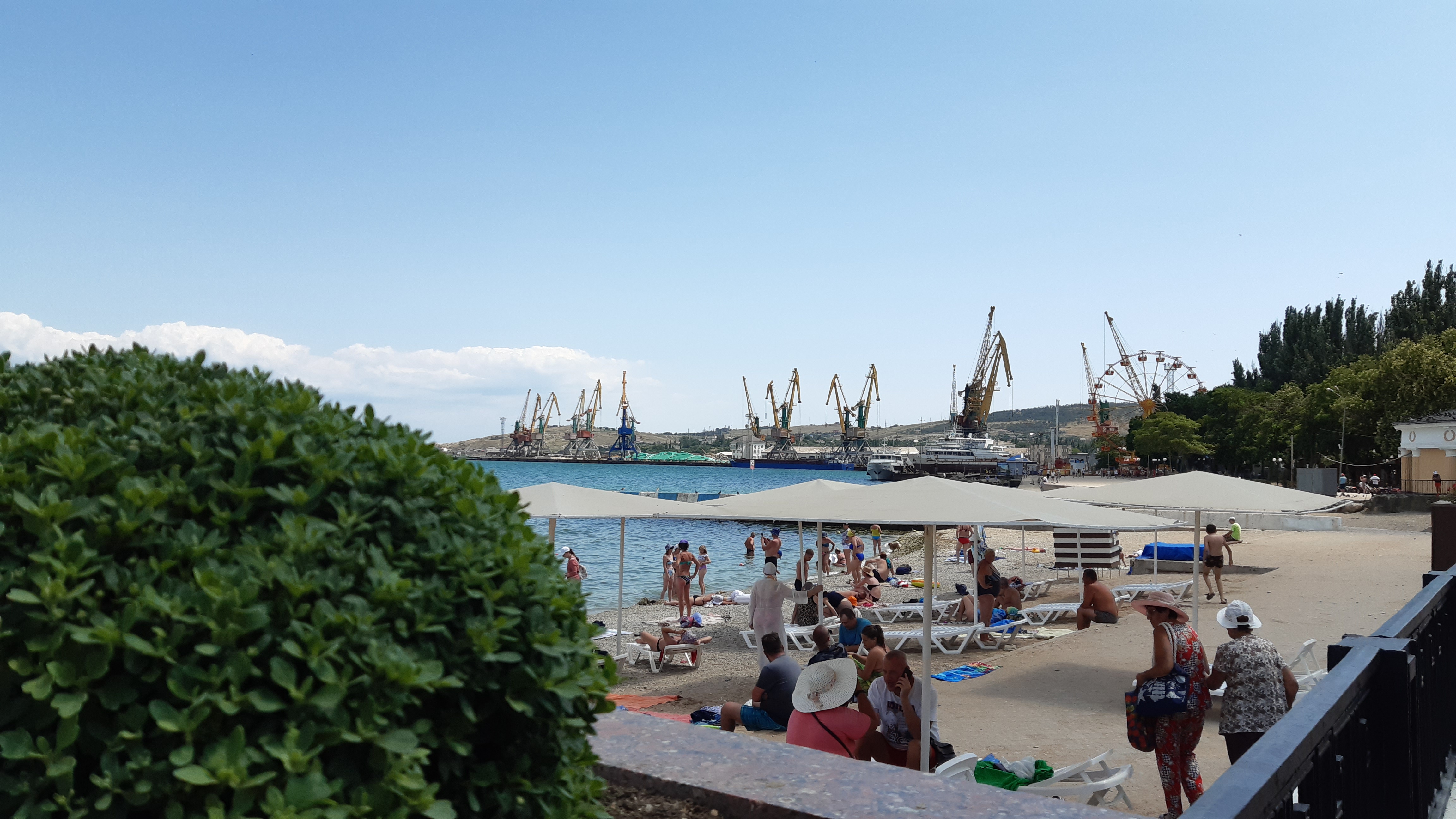 Фото Три сосны