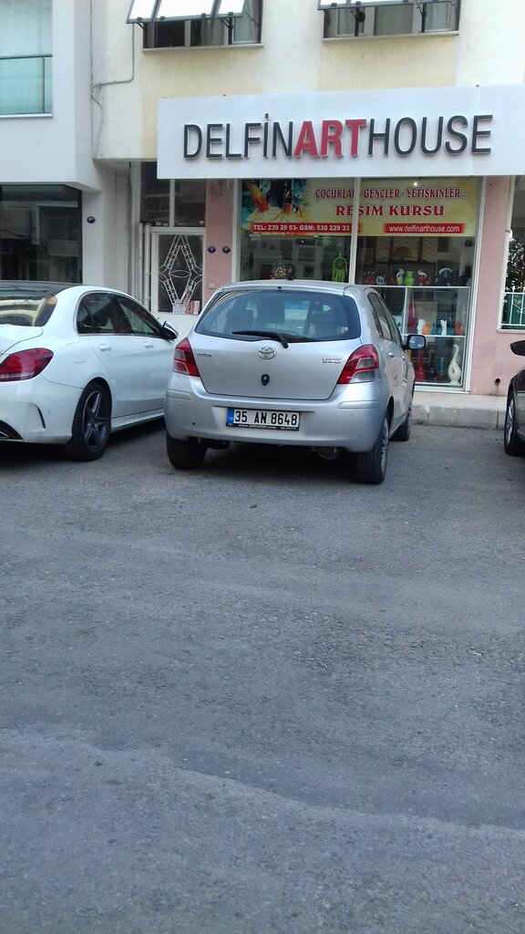 Picture framing Delfinart Painting Course, Izmir, photo