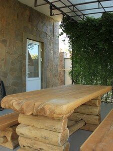 У Старого Абрикоса