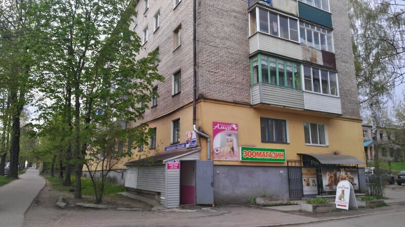 Үйде жасалған секс ромашкалары