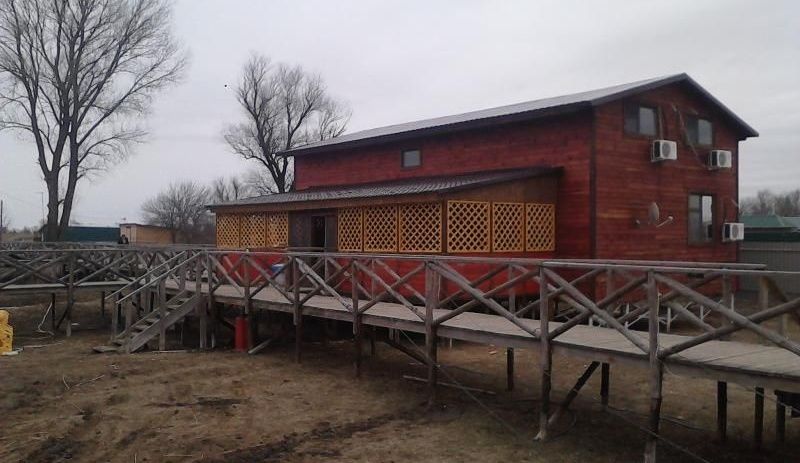 Фото Олигри Fish