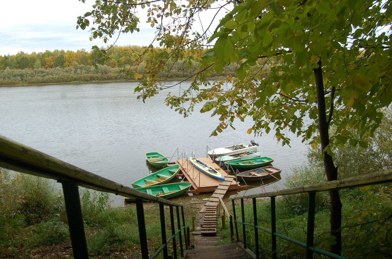 Фото Подсолнухи