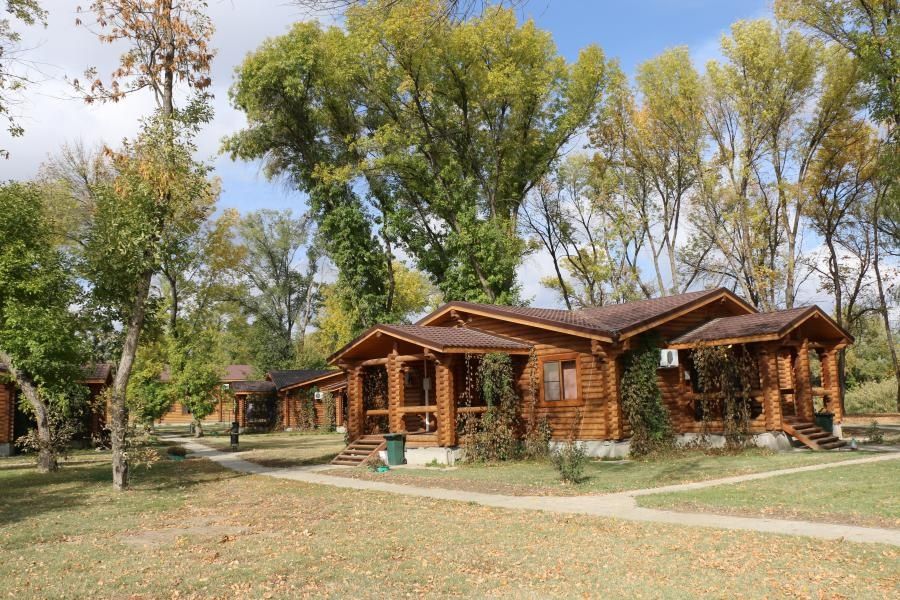 Фото Лесная