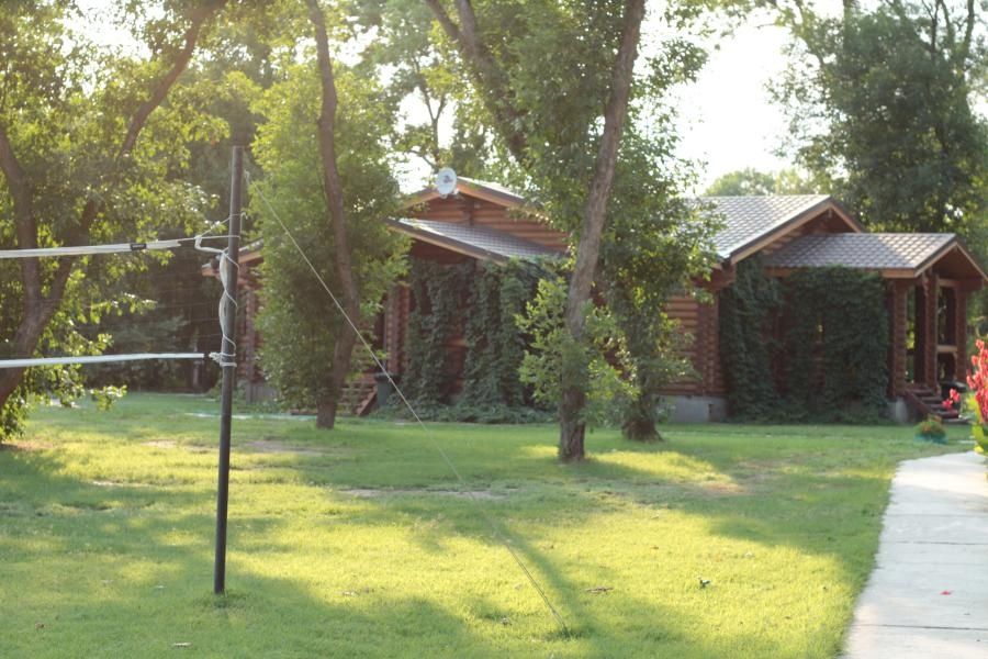 Фото Лесная