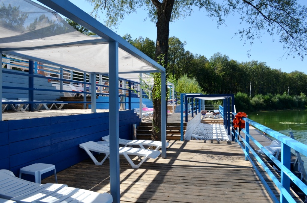 Фото Красивая поляна