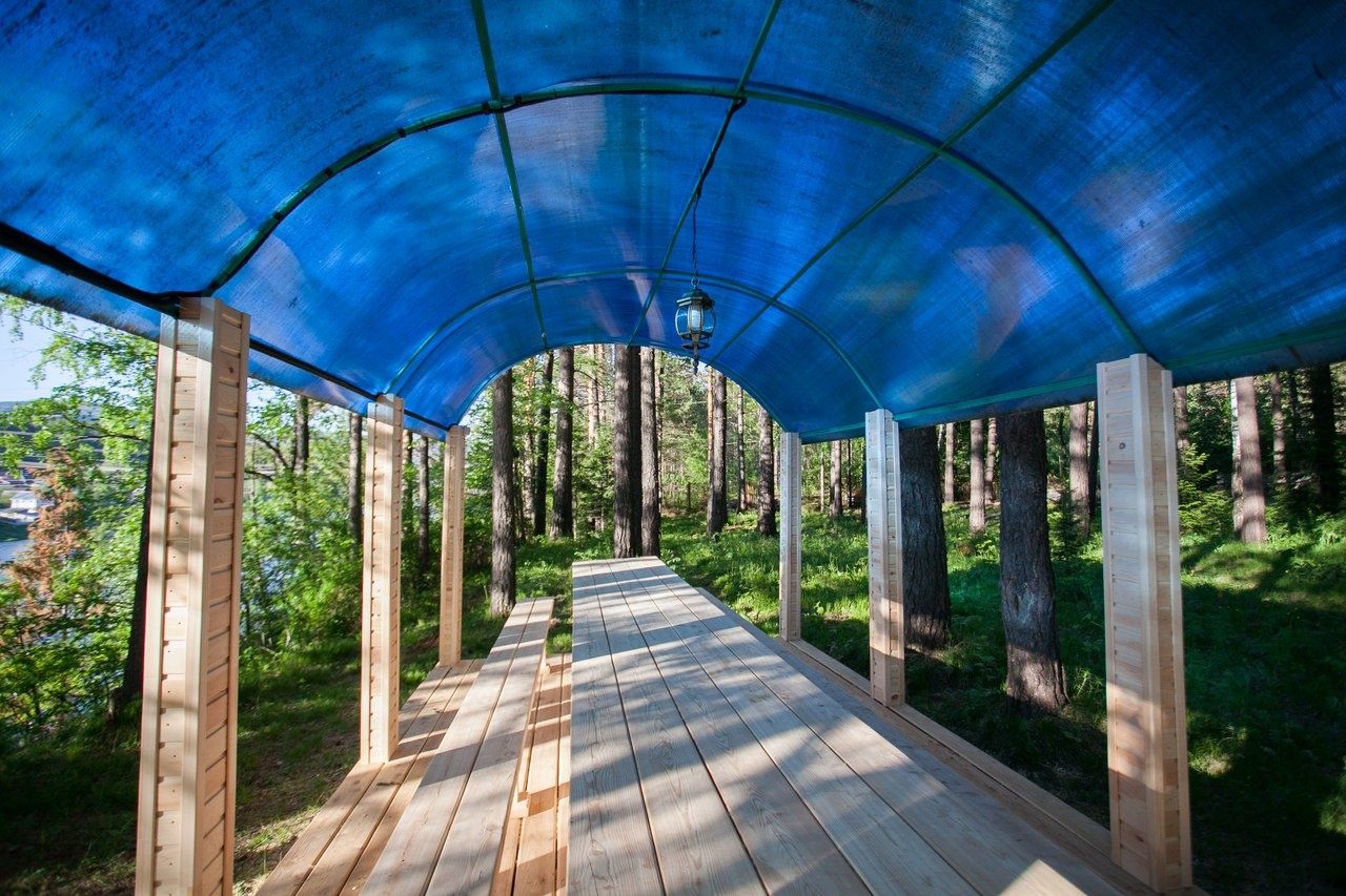 Фото Брусника