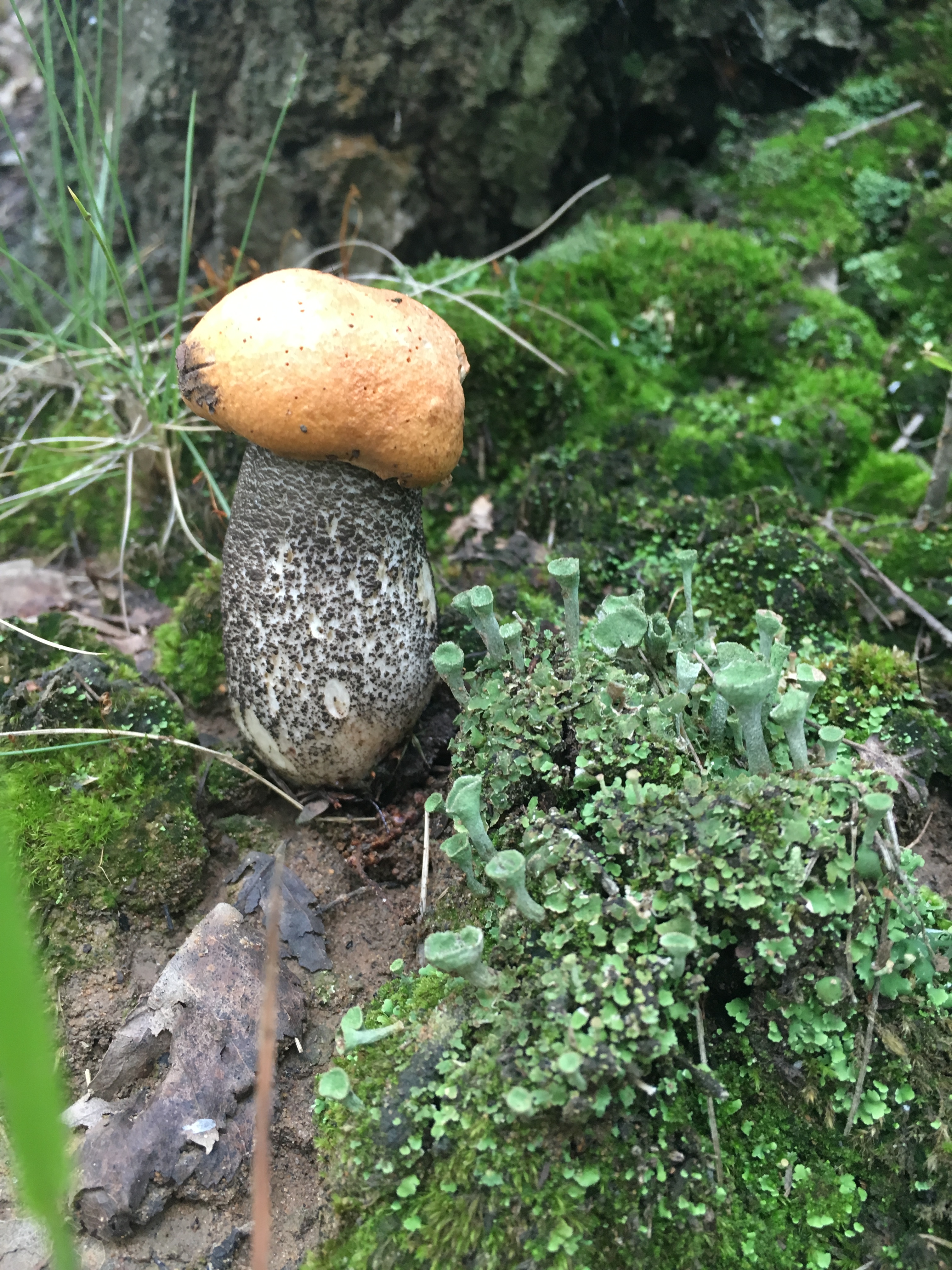 Фото Владимир