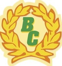 Ваш советник