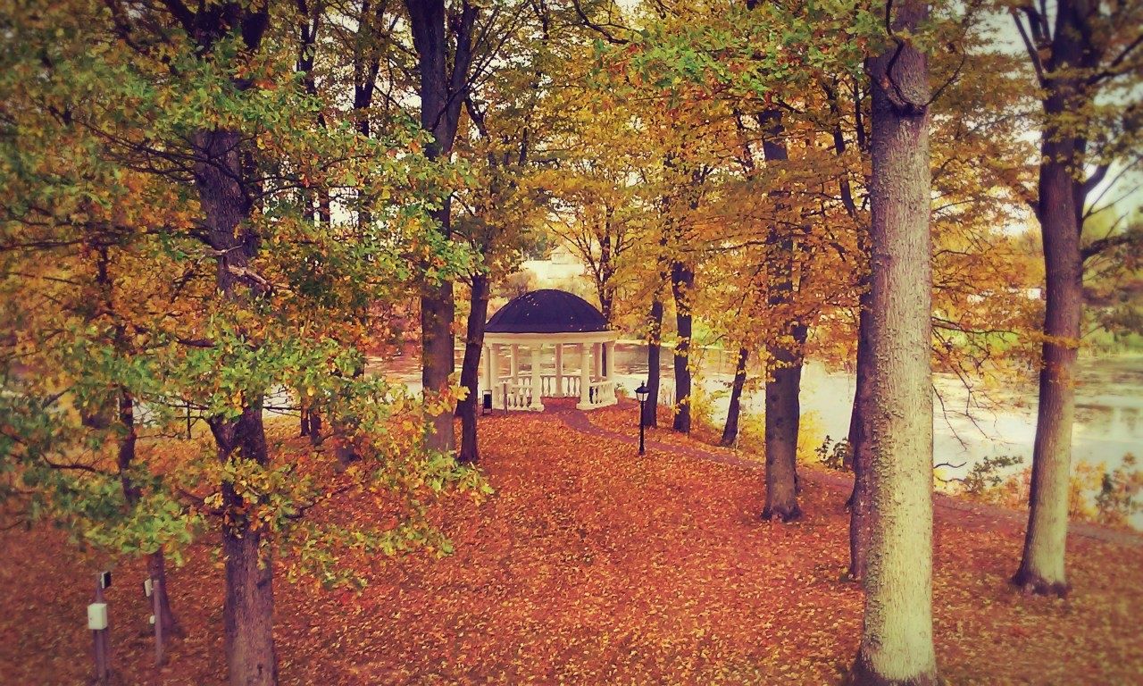 Фото Филипп