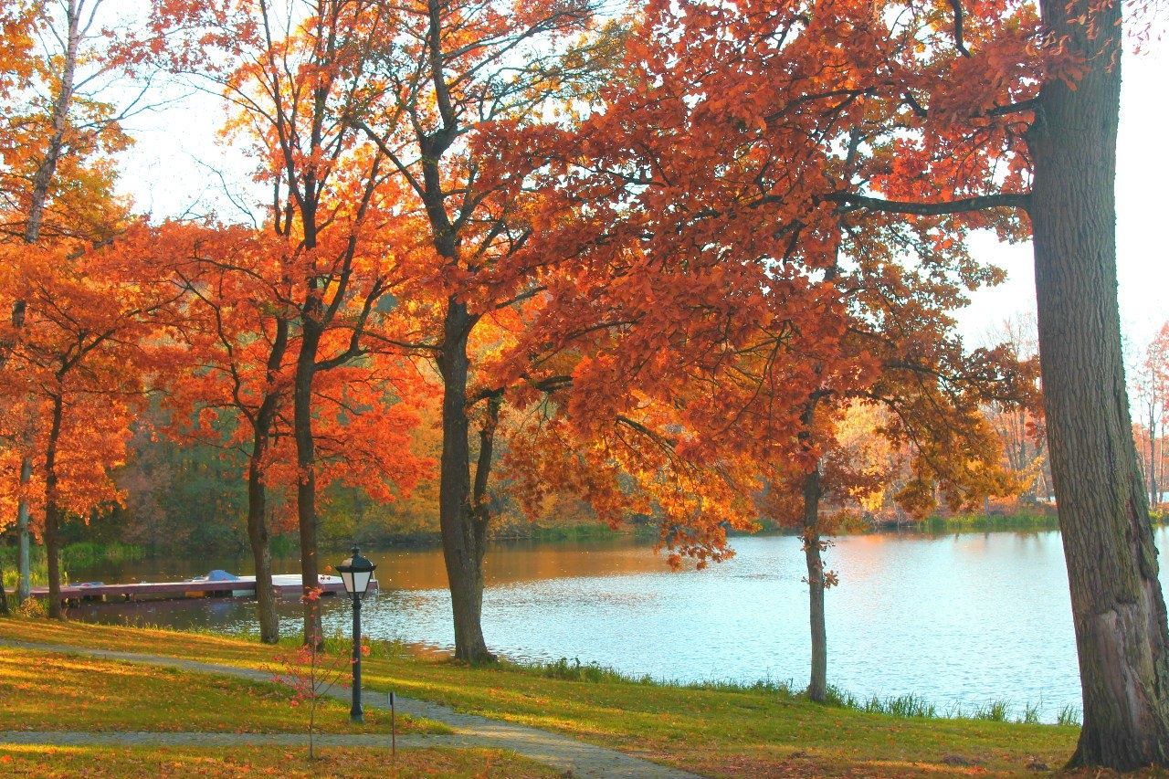 Фото Филипп