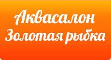 Золотая Рыбка Сеть Магазинов