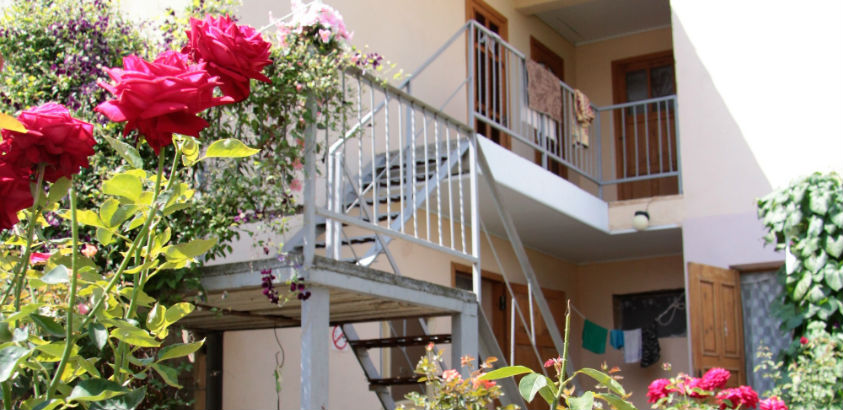 Фото Ласточка