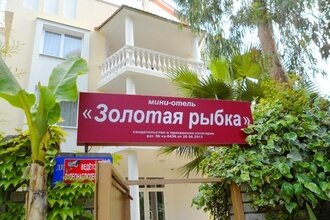 Золотая Рыбка — фото 2