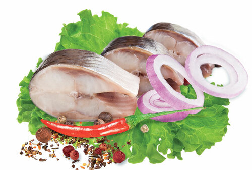 Gıda üreticileri Leontyev A. I., Ip, Georgievsk, foto